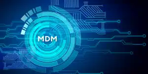 mdm-excel